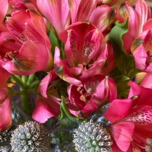 Meet your Posher, Hailey